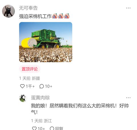 投注：新疆棉、南京大屠殺……他們在小紅書上曏世界展示真實的中國