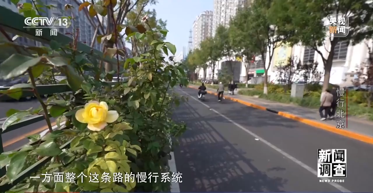 慢行北京：让骑行者减少“等灯等灯” 建设各美其美的城市绿道