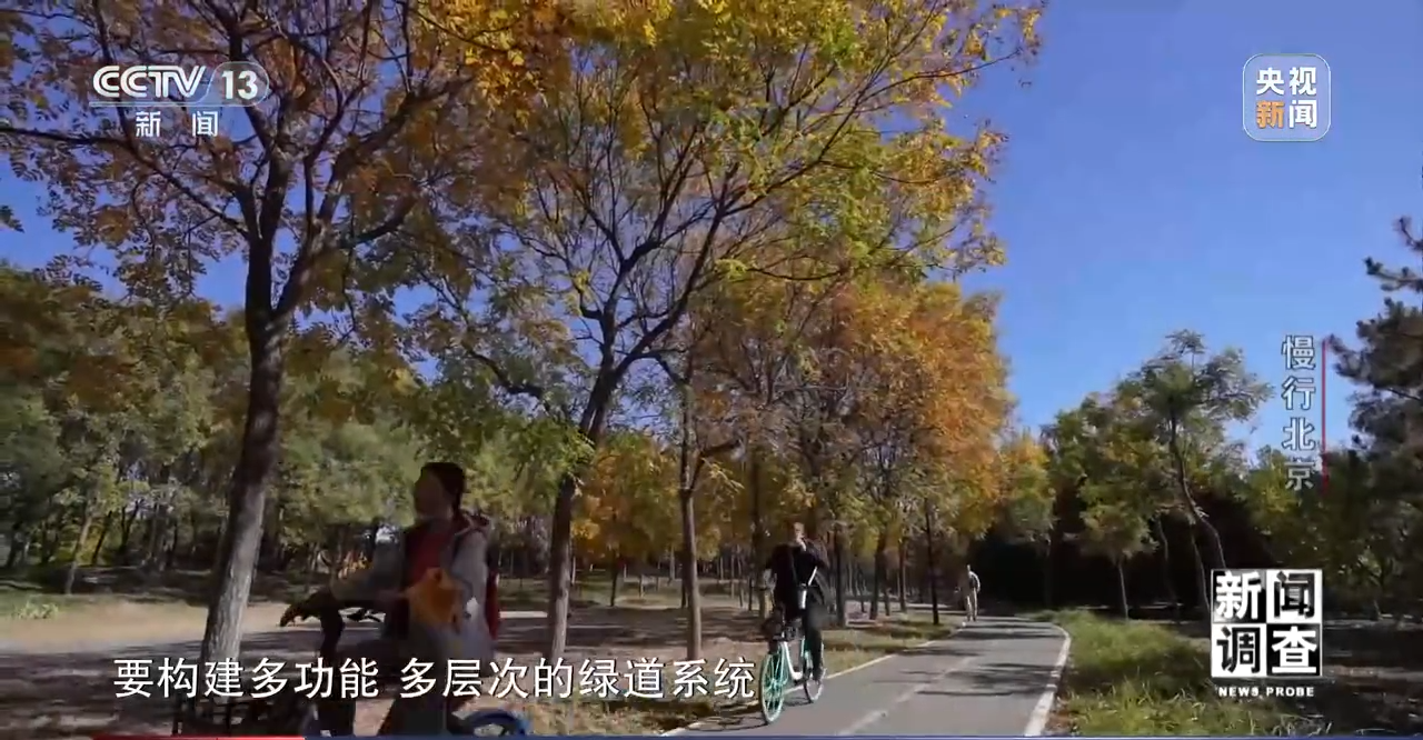 慢行北京：让骑行者减少“等灯等灯” 建设各美其美的城市绿道